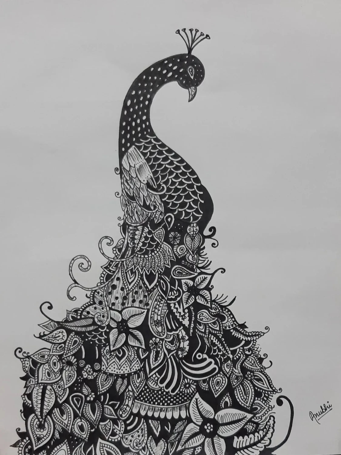 Royal Peacock – Intricate Pen Art